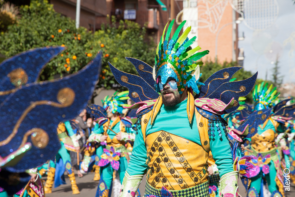 5242 comparsa umsuka imbali desfile badajoz 2016