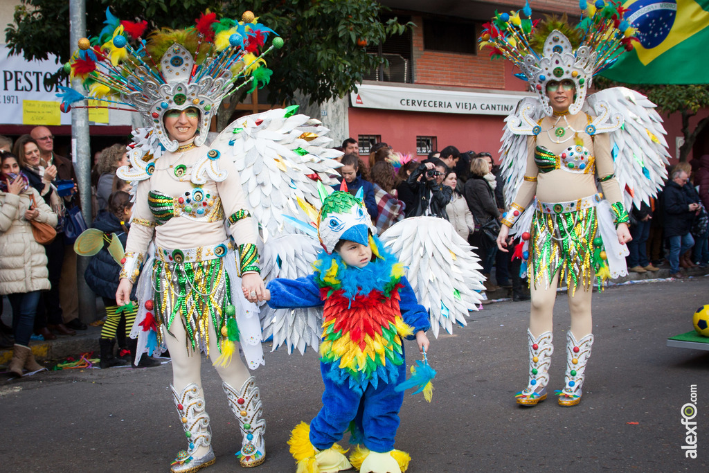 Comparsa Donde Vamos la Liamos desfile Badajoz 2016 (2 de 25)