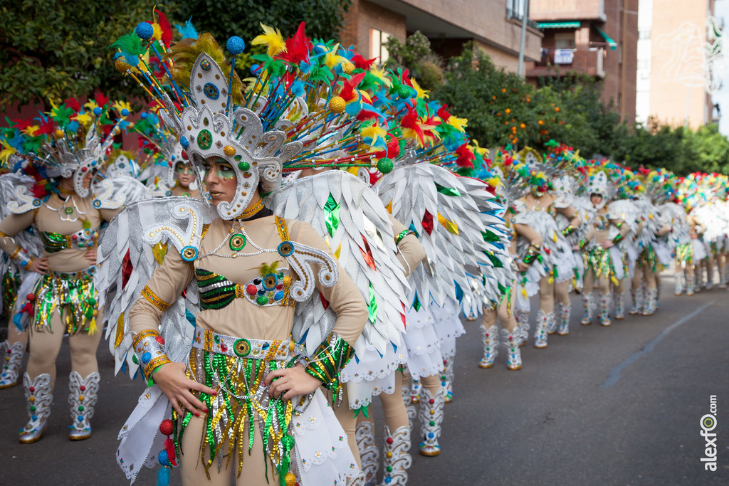 Comparsa Donde Vamos la Liamos desfile Badajoz 2016 (7 de 25)