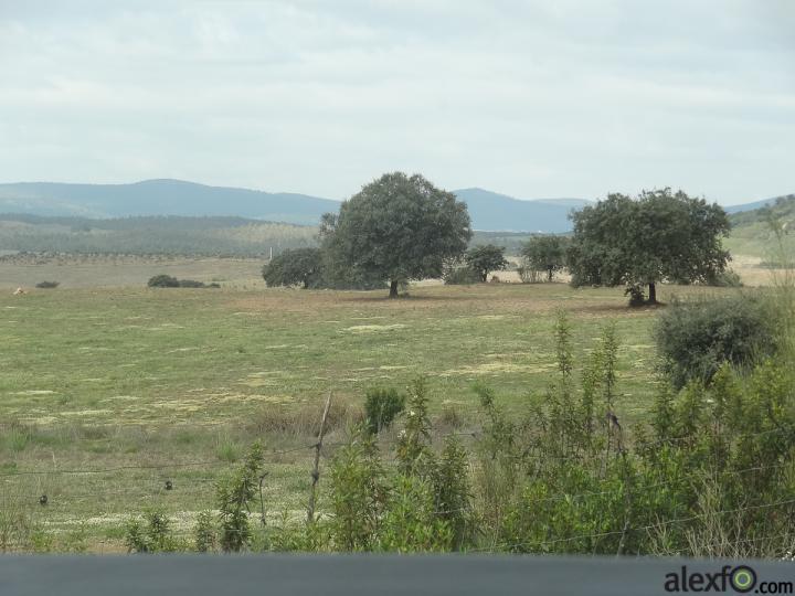 Safari del Jamón por Extremadura 16020_03c4
