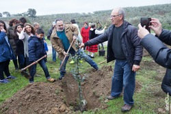 Fiesta del Árbol 2016 Villanueva de la Sierra   212 Edición 54