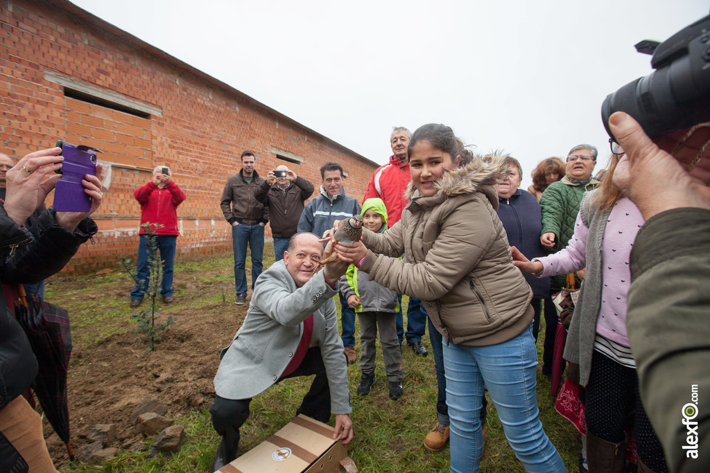 Fiesta del Árbol 2016 Villanueva de la Sierra 212 Edición1 3