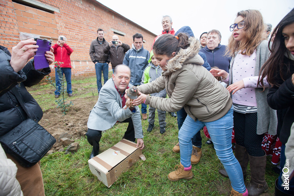 Fiesta del Árbol 2016 Villanueva de la Sierra 212 Edición1 2