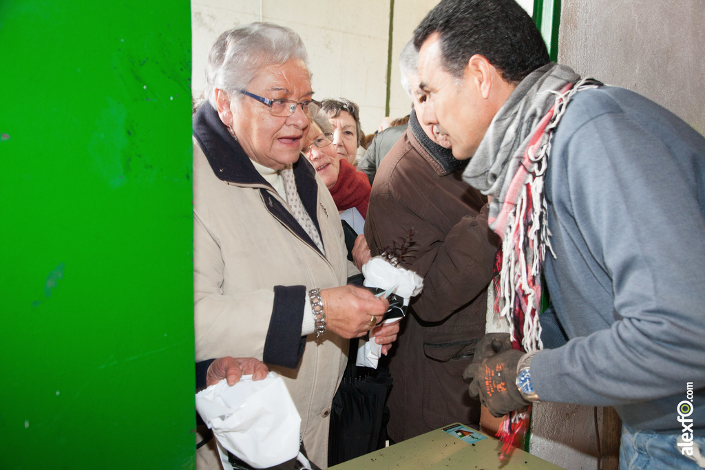 Fiesta del Árbol 2016 Villanueva de la Sierra 212 Edición1 16