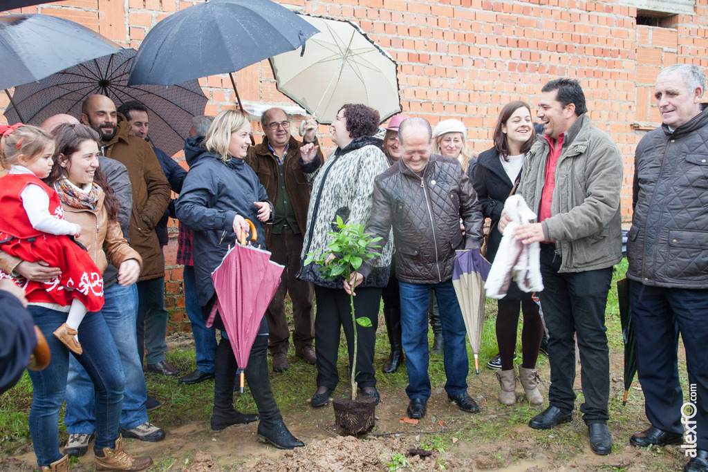 Cultura inicia el expediente para declarar "La Fiesta del Árbol" Bien de Interés Cultural