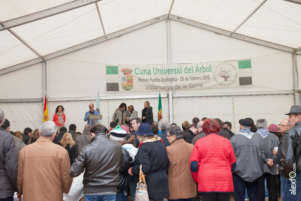 Fiesta del Árbol 26 de febrero de 2016 en Villanueva de la Sierra 468