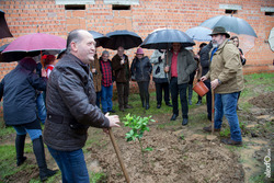 Fiesta del Árbol 26 de febrero de 2016 en Villanueva de la Sierra 102