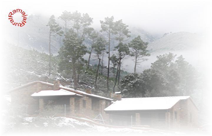 Naturaleza en hurdes y sus alrededores Ramajal rural nevado