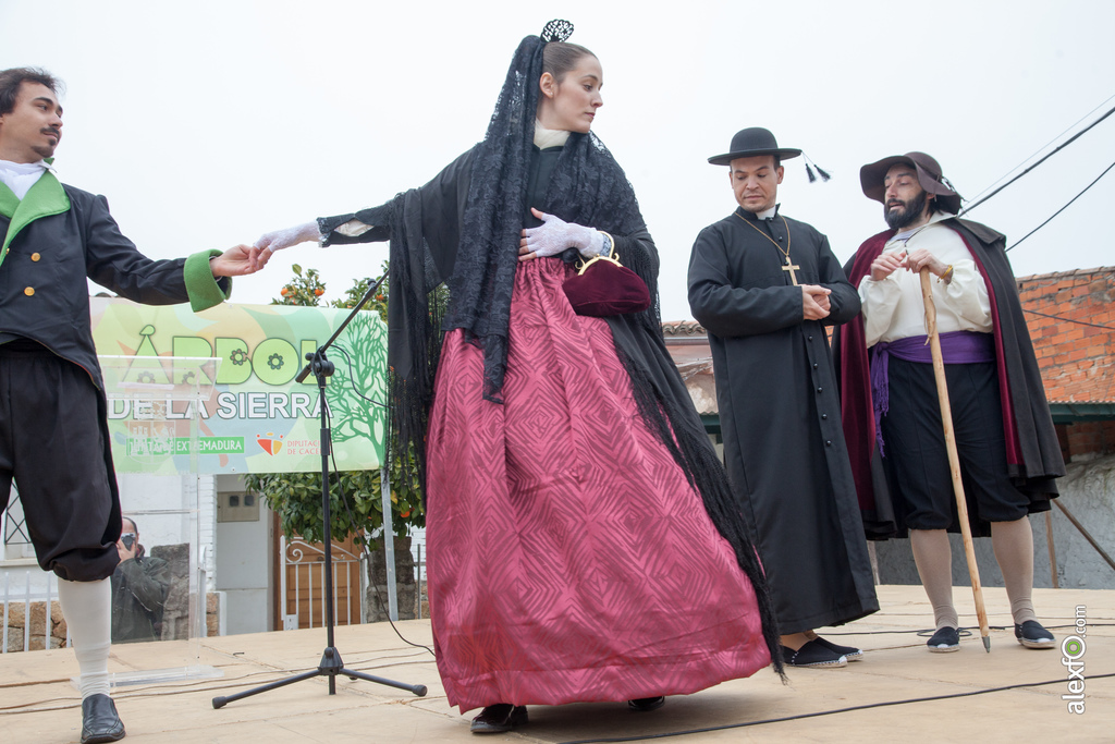 fiesta del arbol villanueva de la sierra 2017 16