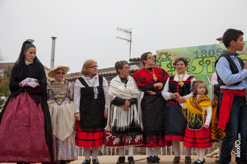 fiesta del arbol villanueva de la sierra 2017 23