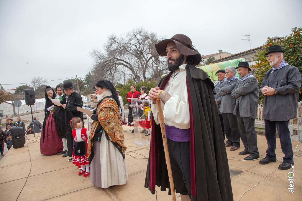 fiesta del arbol villanueva de la sierra 2017 26