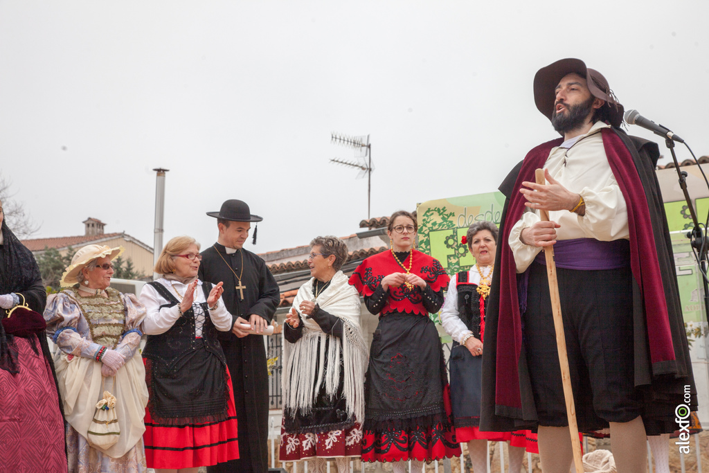 fiesta del arbol villanueva de la sierra 2017 35