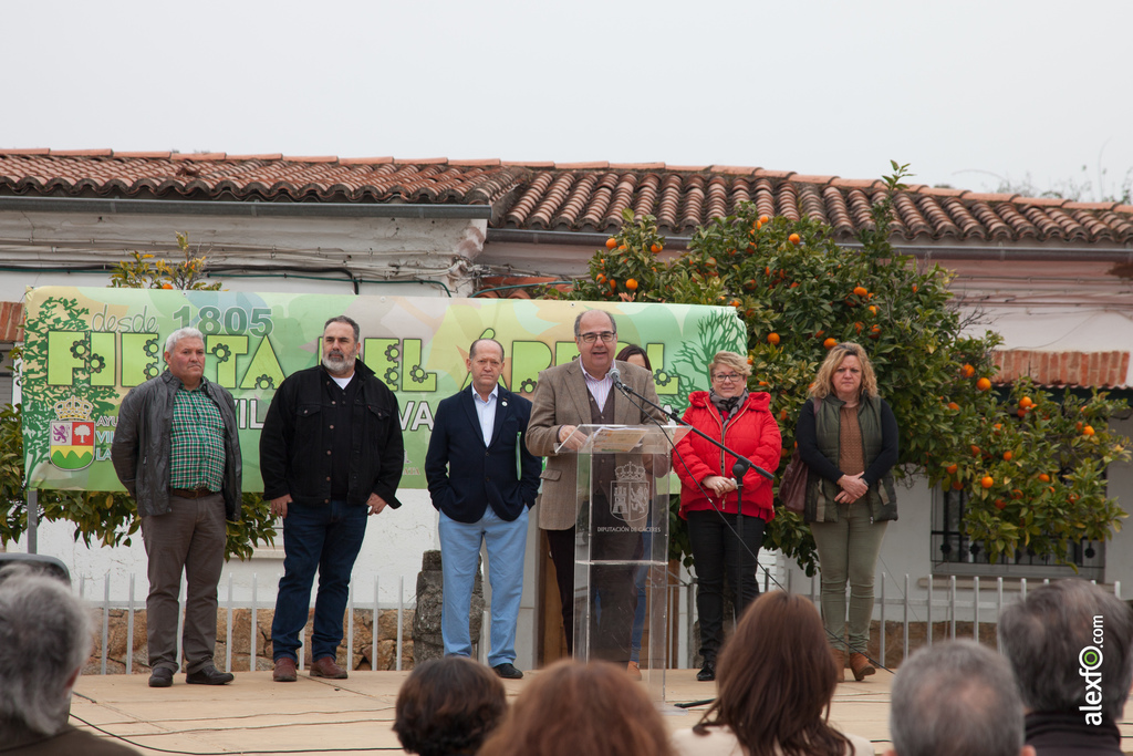 fiesta del arbol villanueva de la sierra 2017 57