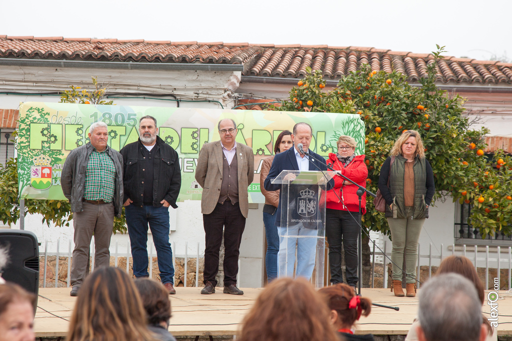 fiesta del arbol villanueva de la sierra 2017 59