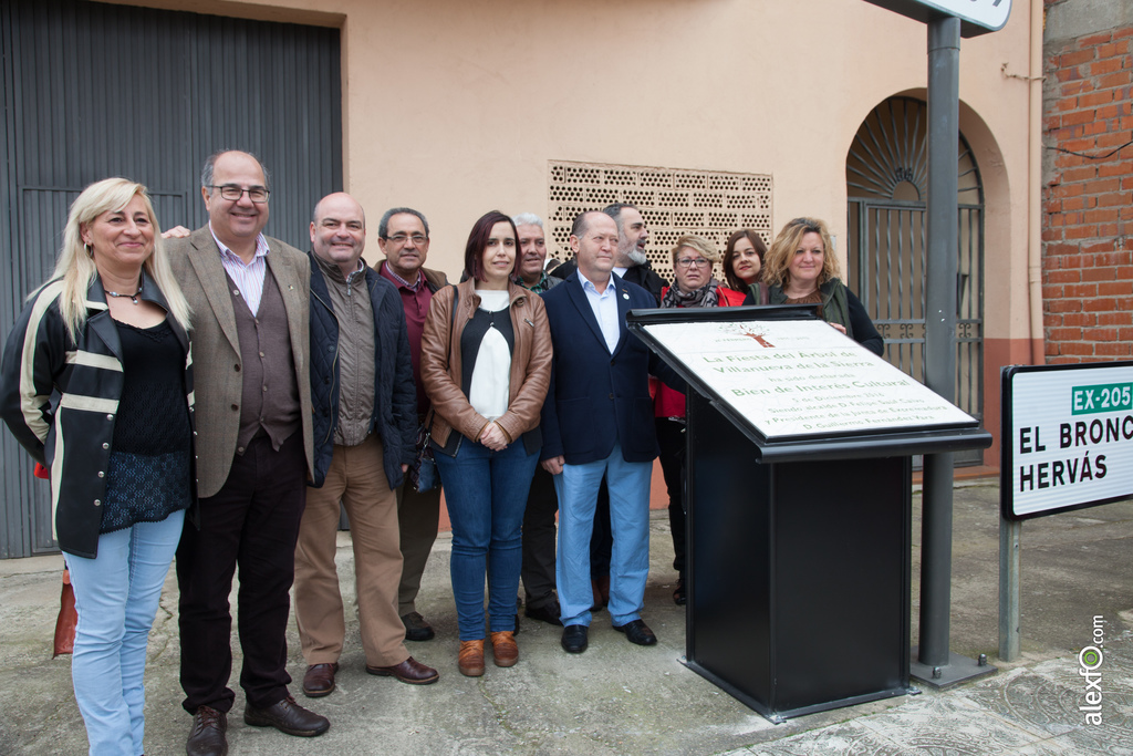 fiesta del arbol villanueva de la sierra 2017 63