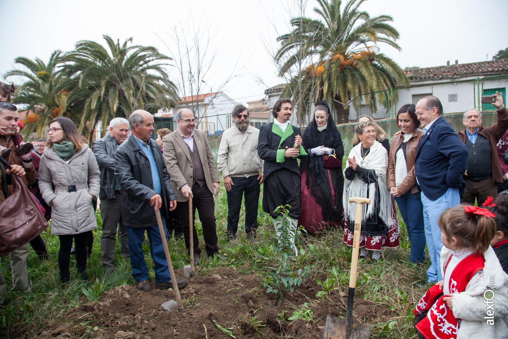 fiesta del arbol villanueva de la sierra 2017 67