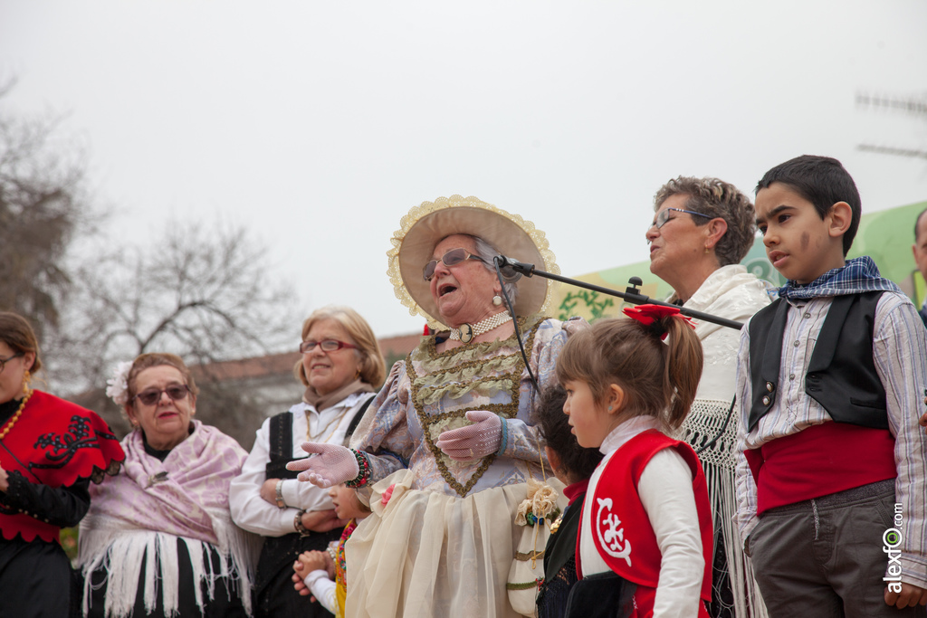 fiesta del arbol villanueva de la sierra 2017 12