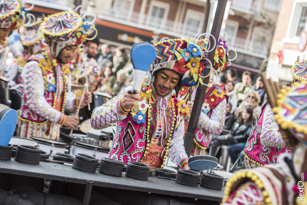 Comparsa Bakumba 2017   Desfile de Comparsas Carnaval Badajoz 2017 614