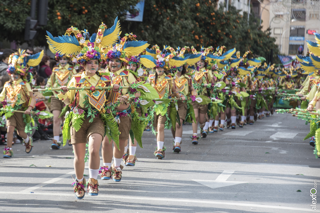 Comparsa Achiweyba 2017   Desfile de Comparsas Carnaval Badajoz 2017 232