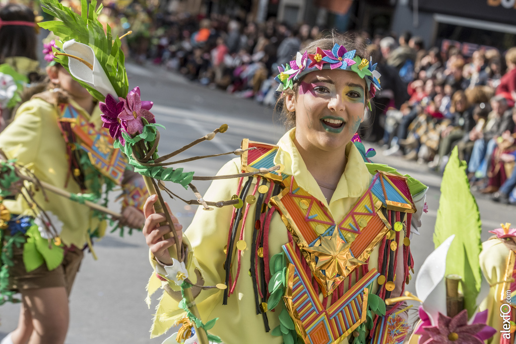 Comparsa Achiweyba 2017   Desfile de Comparsas Carnaval Badajoz 2017 865