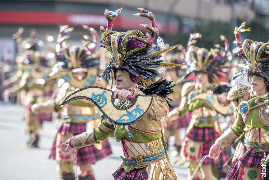 Comparsa La Bullanguera 2017   Desfile de Comparsas Carnaval Badajoz 2017 788