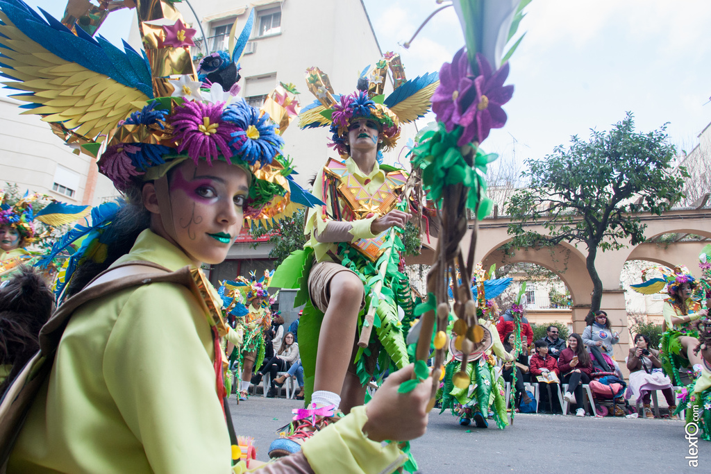 33 Achiweyba. desfile de comparsas. Oto. 44X537304