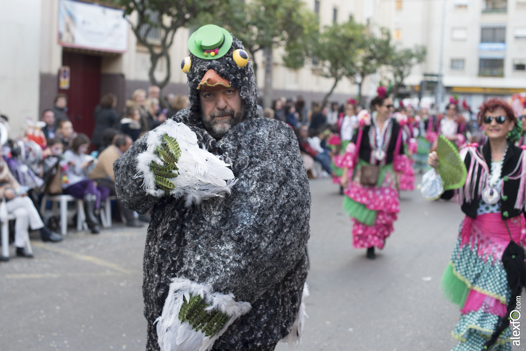 Grupos Menores 2017   Desfile de Comparsas del Carnaval de Badajoz 2017 165