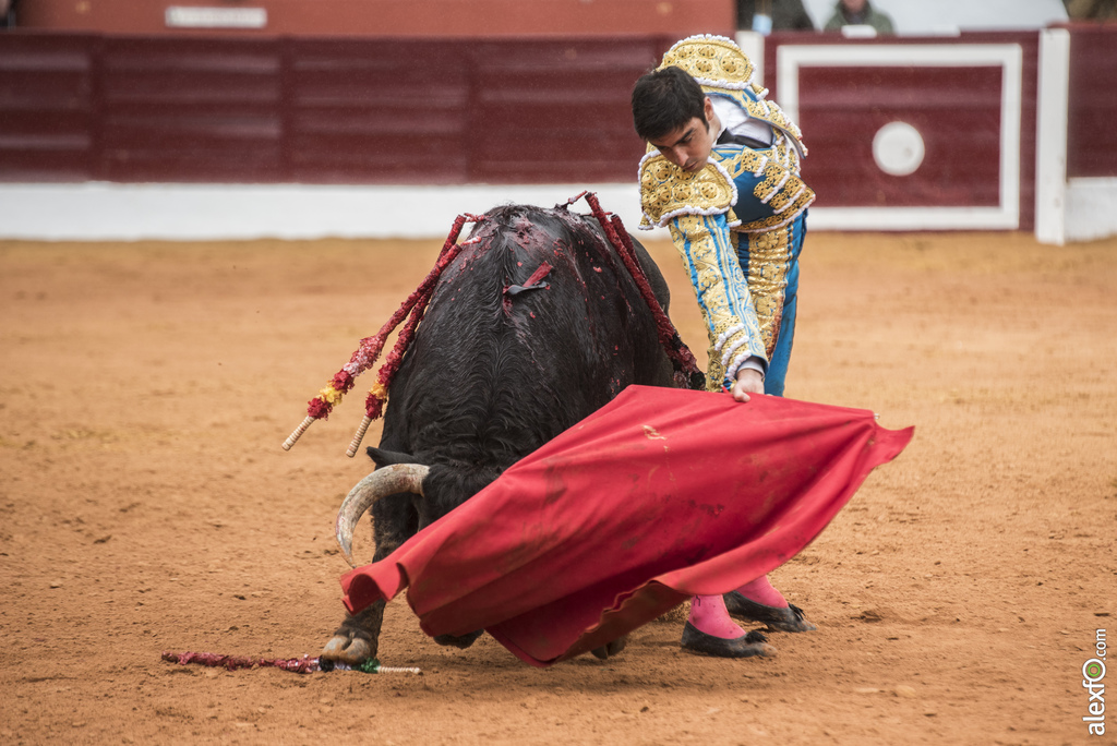 Olivenza domingo mañana 13