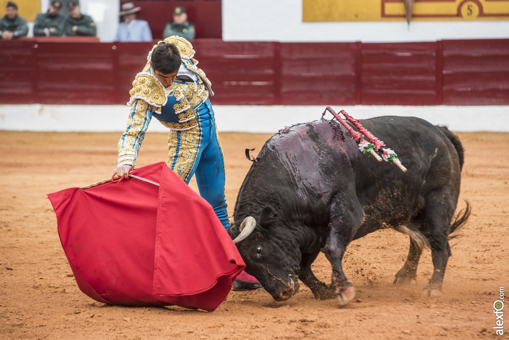 Olivenza domingo mañana 12