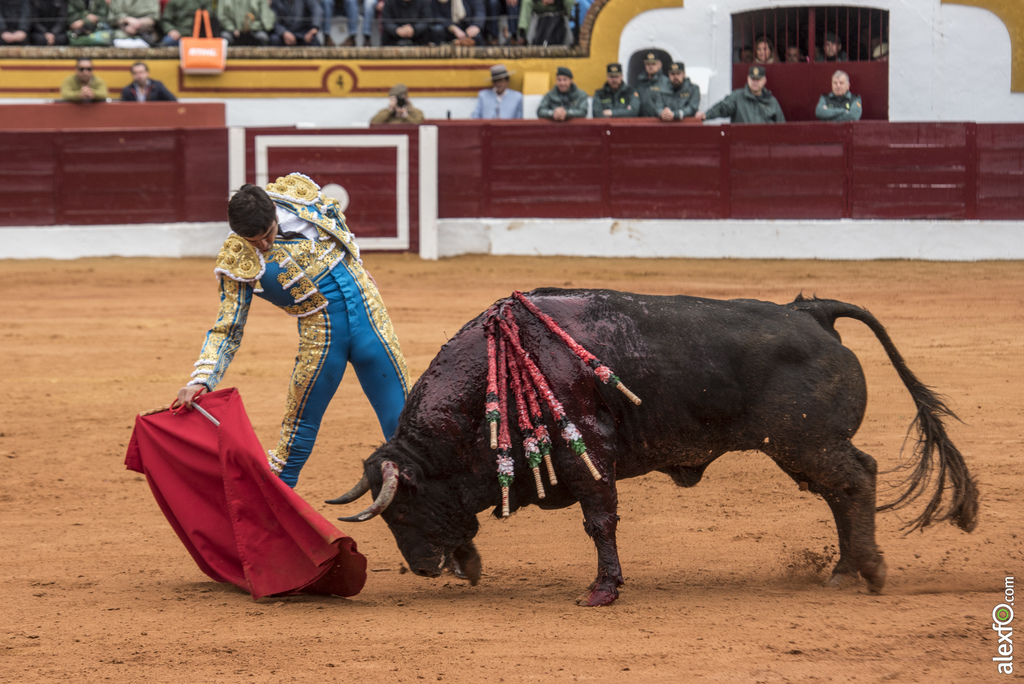 Olivenza domingo mañana 2