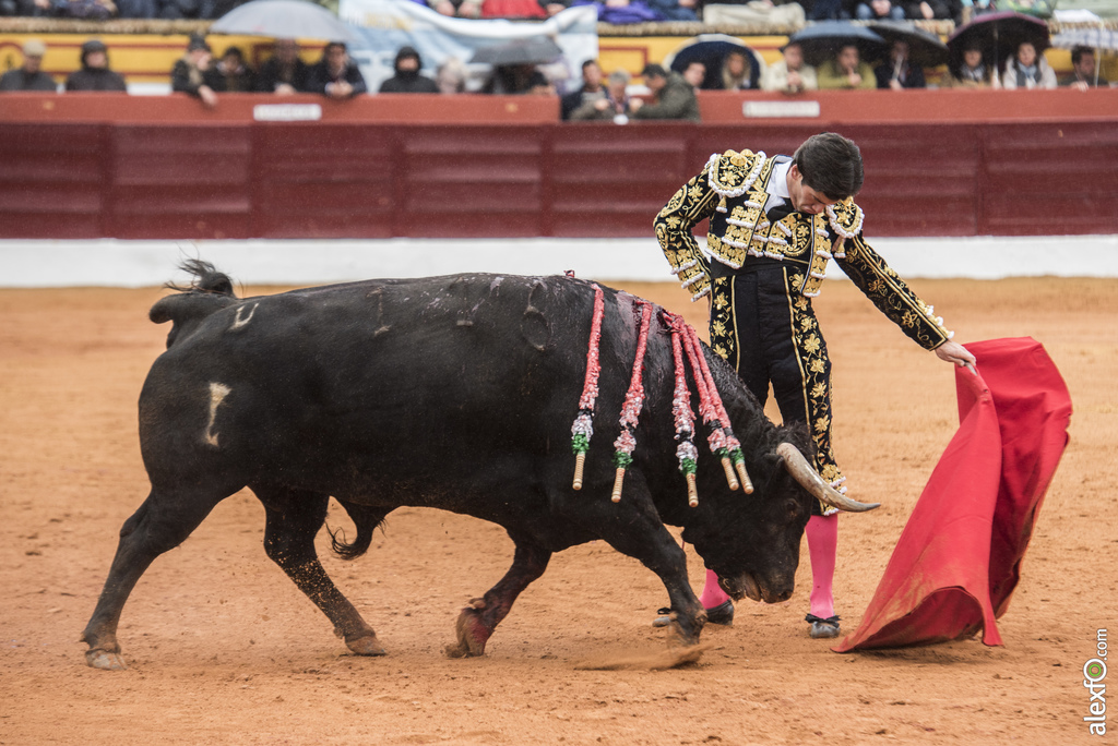 Olivenza domingo mañana 7