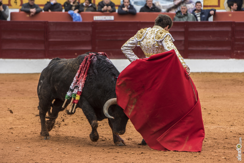 Olivenza domingo mañana 10