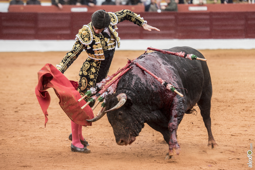 Olivenza domingo mañana 8