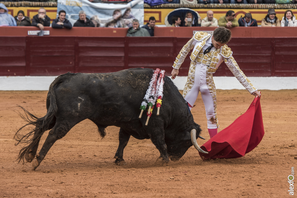 Olivenza domingo mañana 9