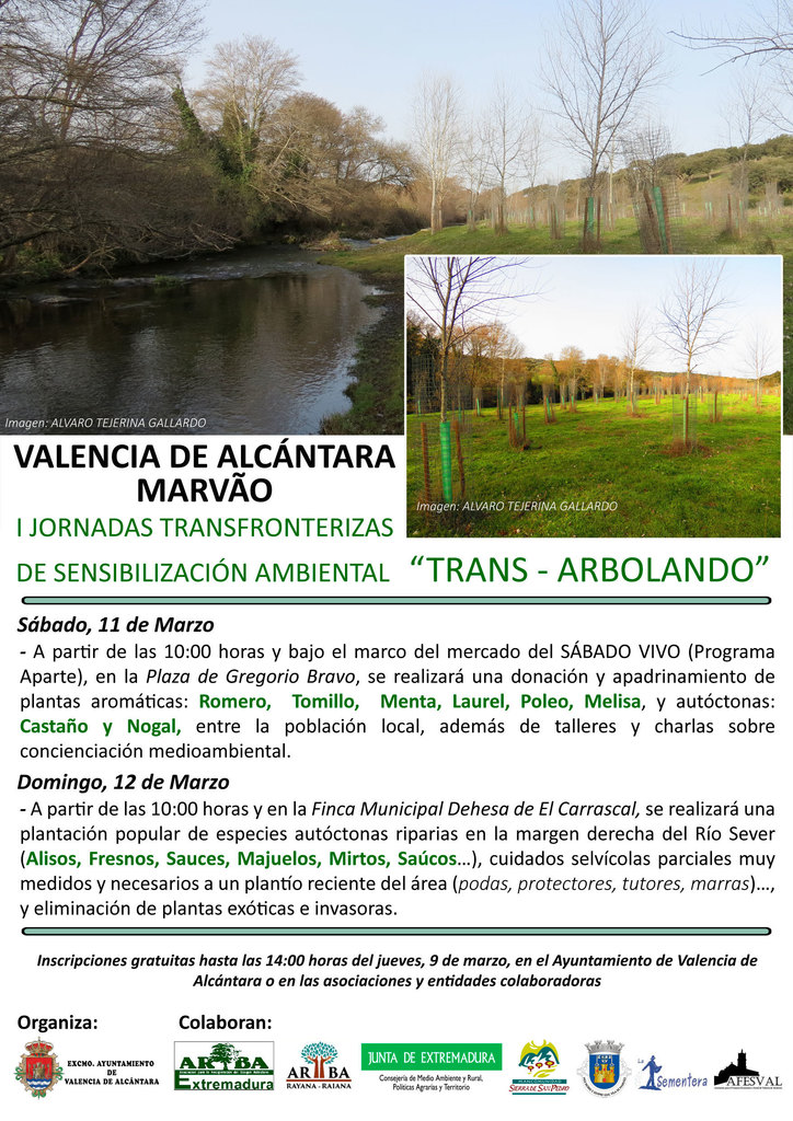 jornadas transarbolando