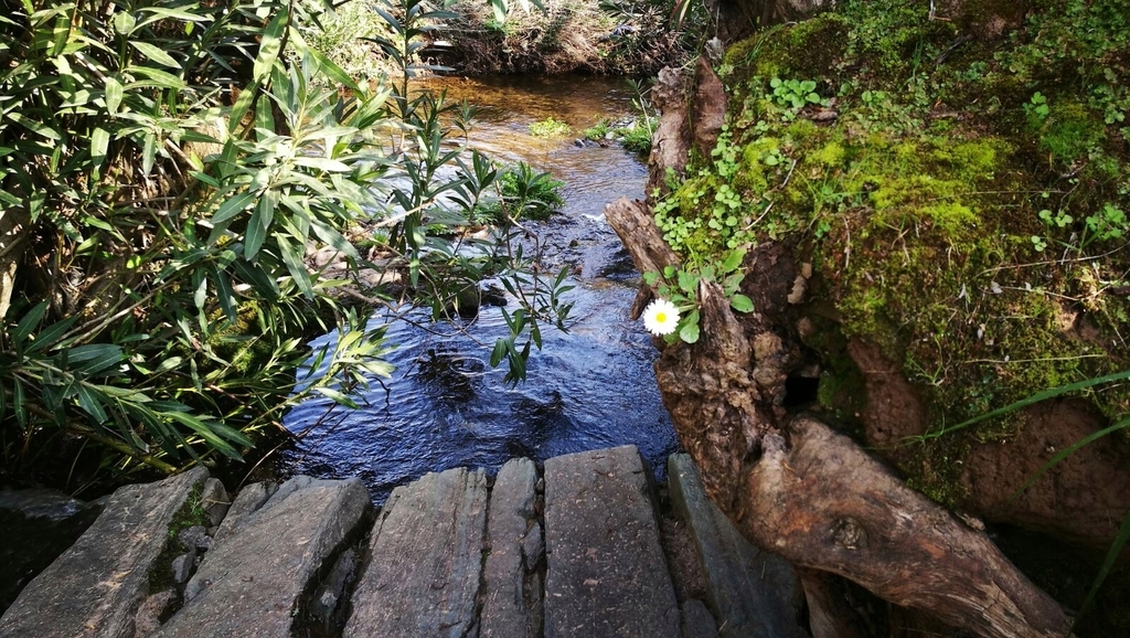 Fuentes de León