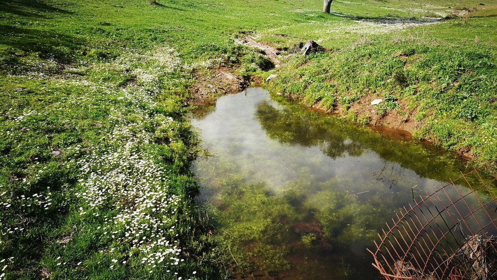 Fuentes de León