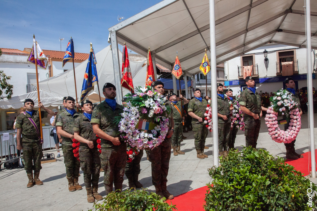 Batalla de La Albuera 2017   206º Aniversario   Fiestas con Historia y de Interés Turístico Regional 970