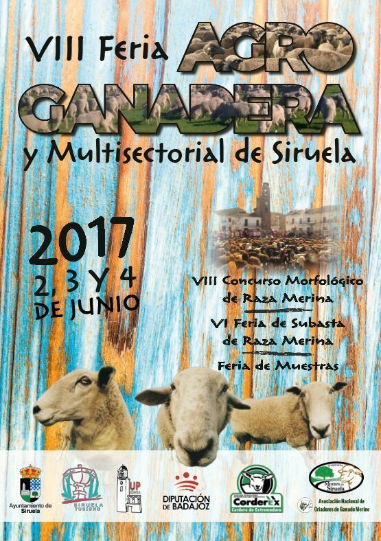 0Cartel feria siruela