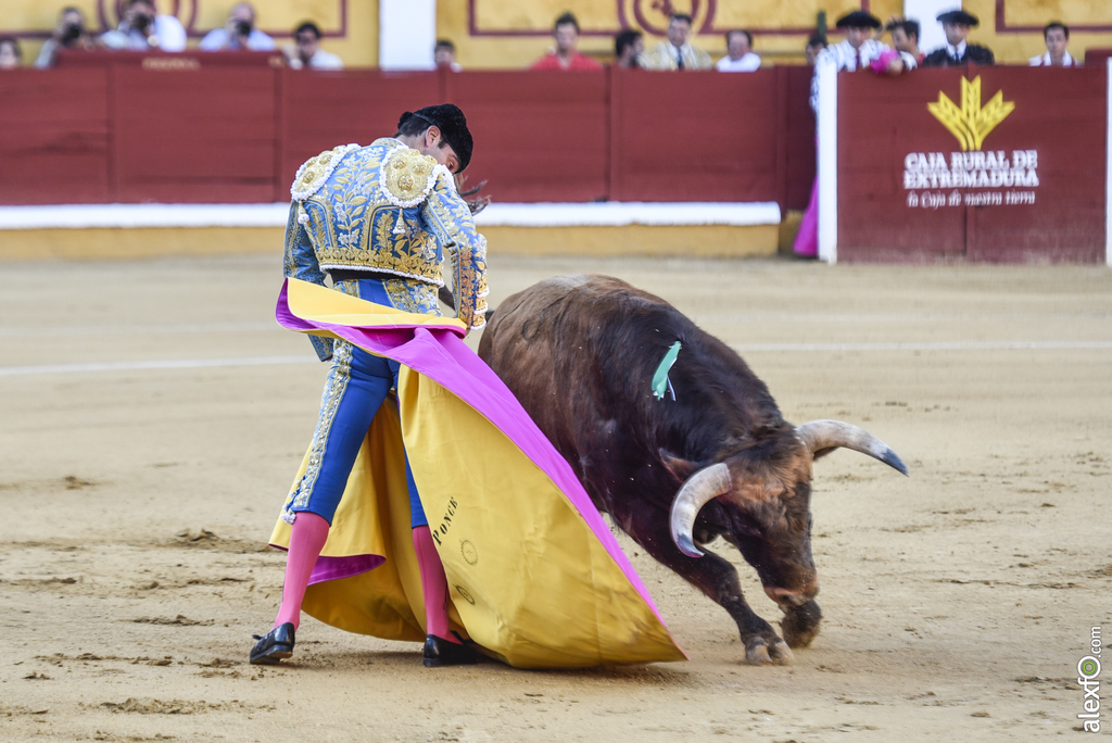 Toros San Juan 2017 2