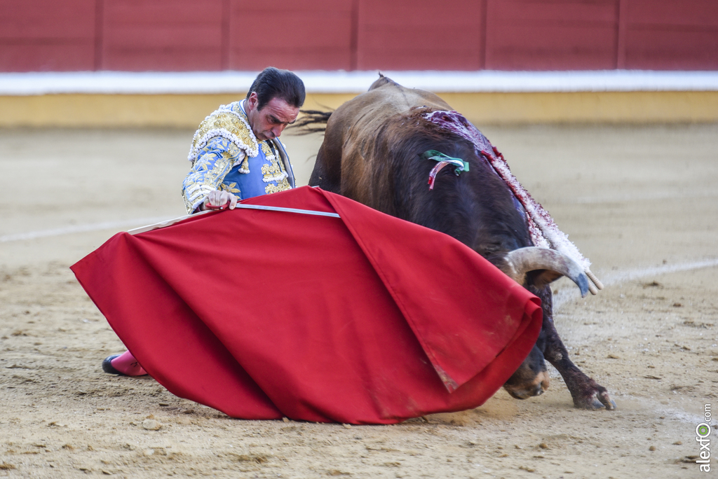 Toros San Juan 2017 11