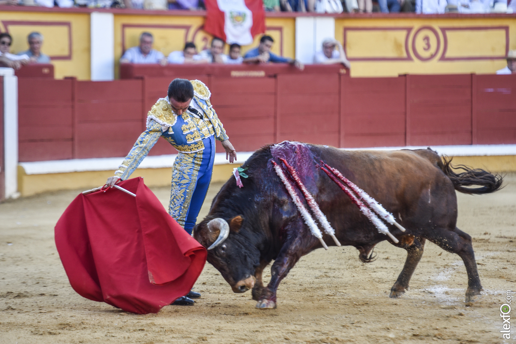 Toros San Juan 2017 10