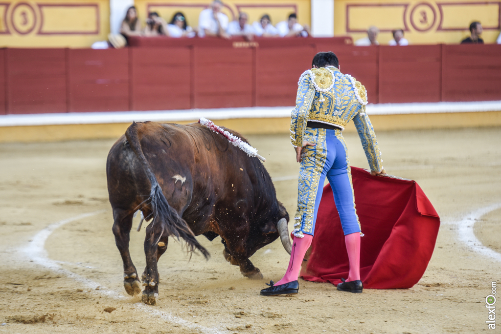 Toros San Juan 2017 5