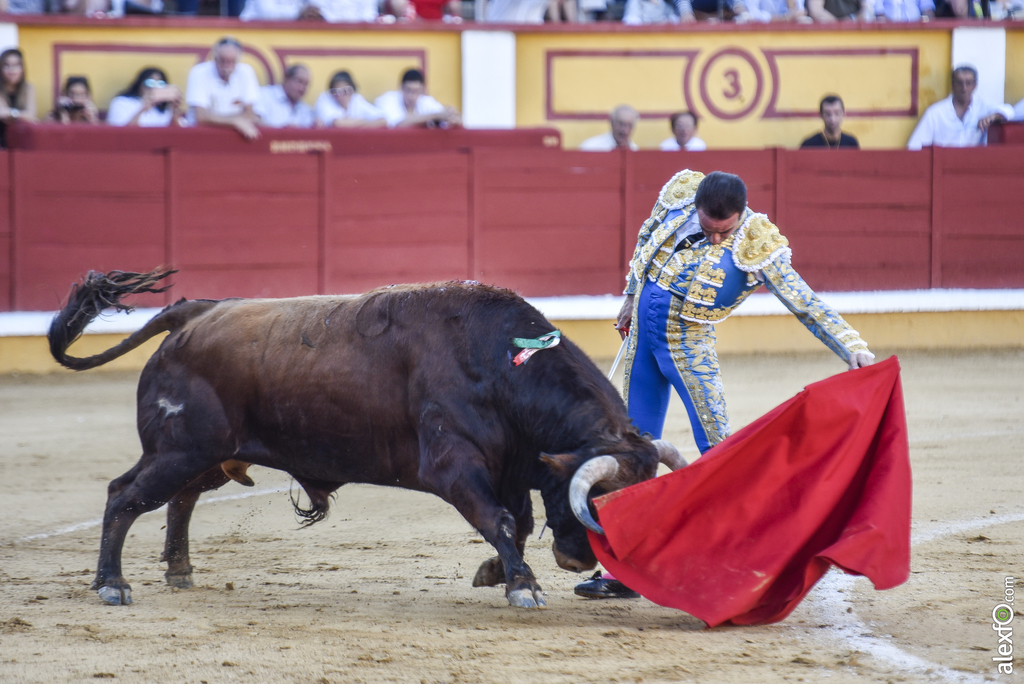 Toros San Juan 2017 6