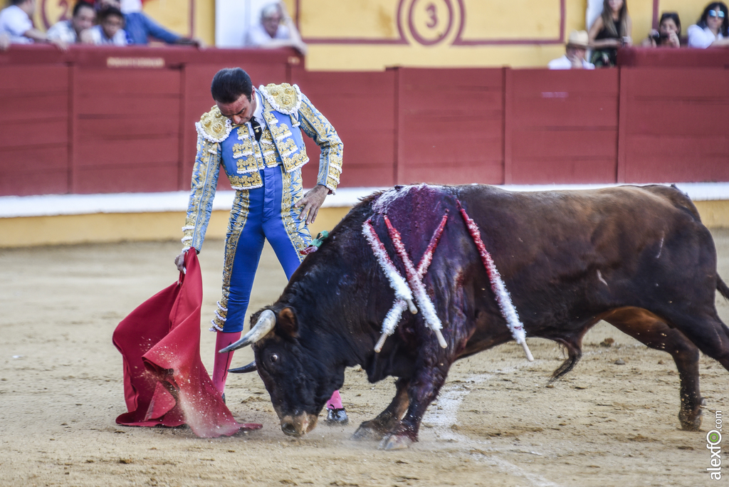 Toros San Juan 2017 8