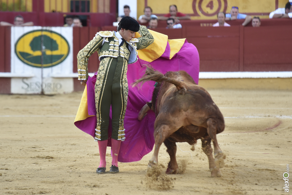 Toros San Juan 2017 19