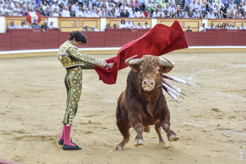 Toros San Juan 2017 23