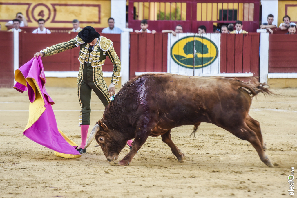 Toros San Juan 2017 21