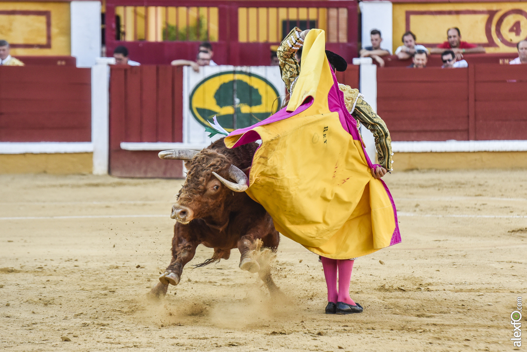 Toros San Juan 2017 20