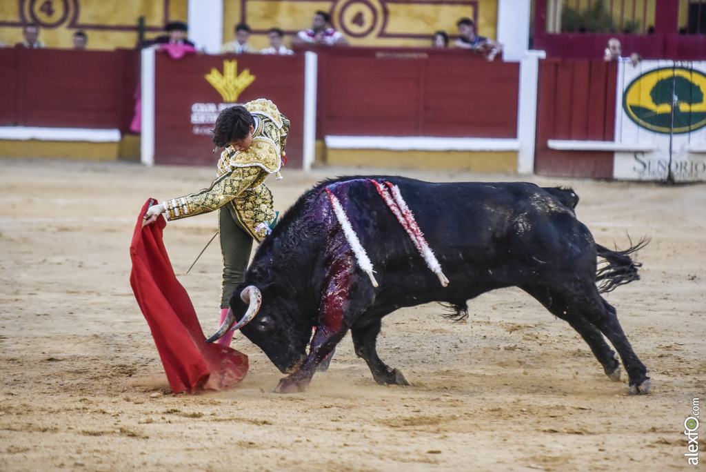 Toros San Juan 2017 31